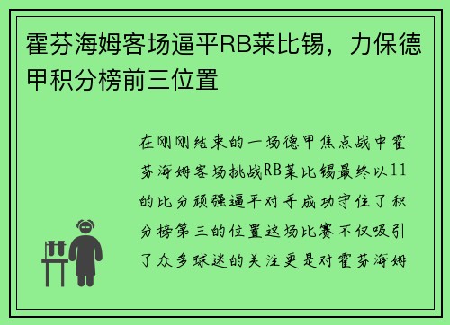 霍芬海姆客场逼平RB莱比锡，力保德甲积分榜前三位置