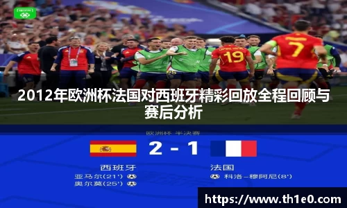 2012年欧洲杯法国对西班牙精彩回放全程回顾与赛后分析